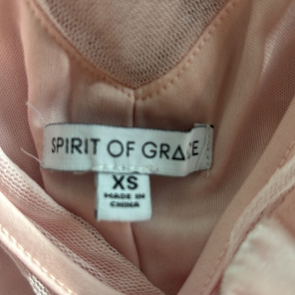 Spirit of Grace Pink Velvet Burnout Dress XS Balletcore Sheer Fairycore Mesh - Picture 12 of 12